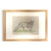 Bernard VERCRUYCE - Chat aux aguets - Dessin en couleur – Image 2